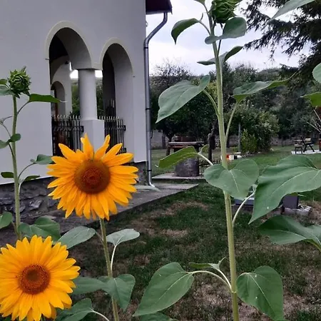 Patak Ueduelohaz Σπίτι διακοπών *