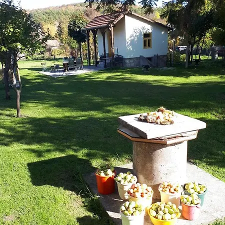 Patak Ueduelohaz Holiday home Nagyvisnyo