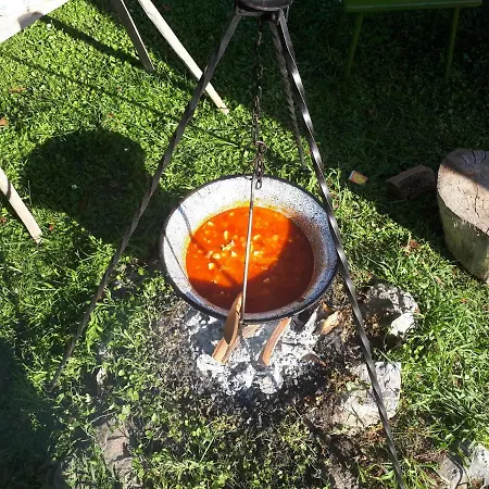 Patak Ueduelohaz * Nagyvisnyó