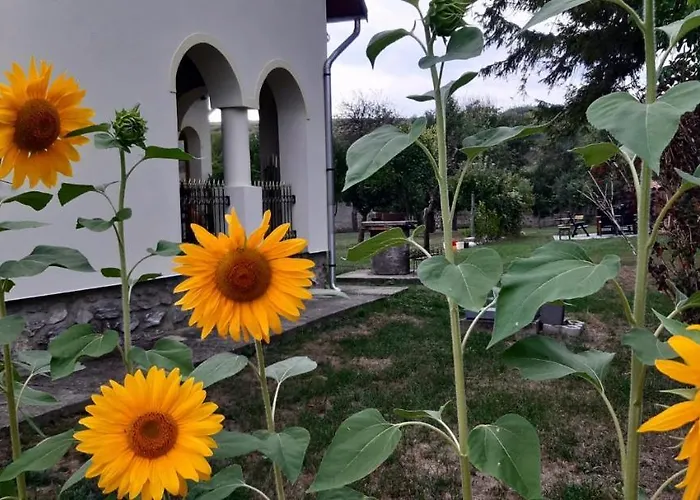 Patak Ueduelohaz Case de vacanță *