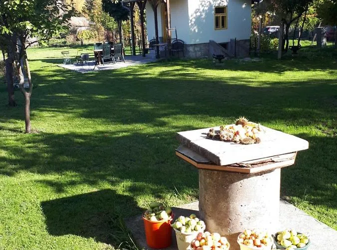 Patak Ueduelohaz Case de vacanță Nagyvisnyó