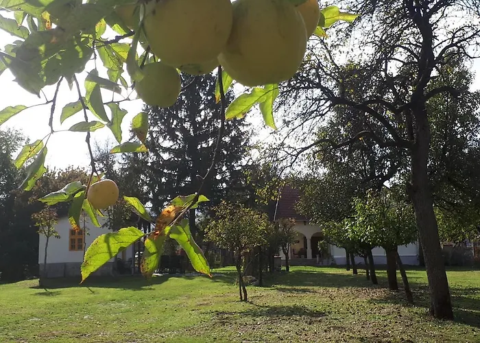 Case de vacanță Patak Ueduelohaz *