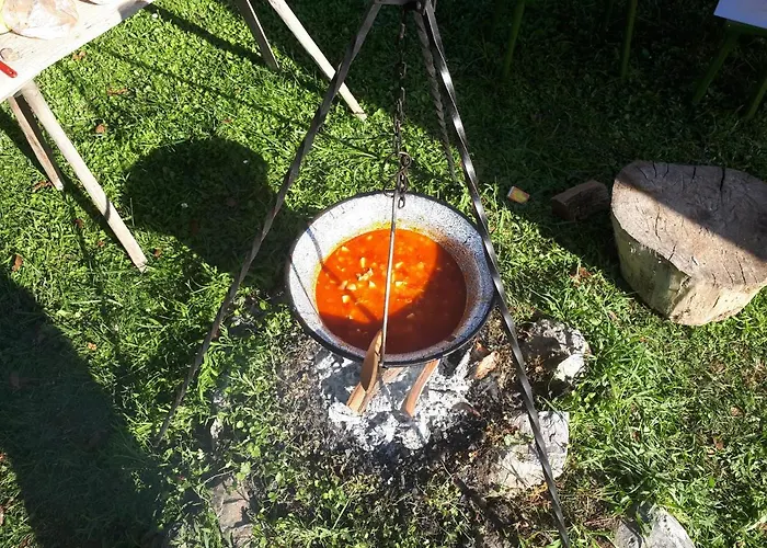 Patak Ueduelohaz * Nagyvisnyó