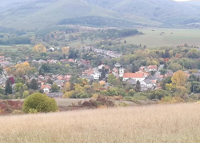 Patak Ueduelohaz Case de vacanță Nagyvisnyó